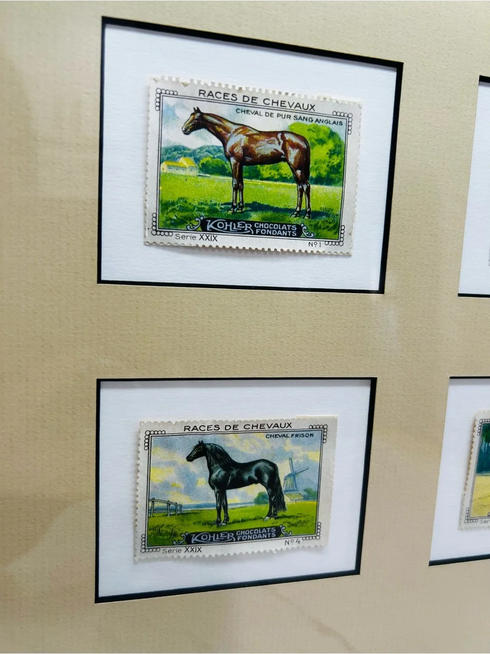 N/A framed horse